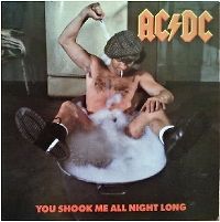 Cover AC/DC - You Shook Me All Night Long [Live]